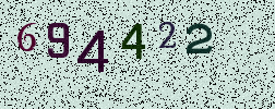 Visual Confirmation Security Code